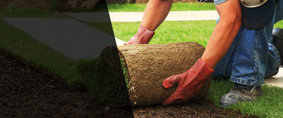 Trafalgar Landscapers